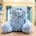 Blue Plush Bear